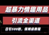 新版情趣项目引流全渠道，自带高流量，保姆级教程，轻松破100单，日引500+粉丝