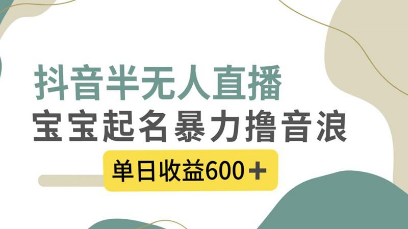 抖音半无人直播，宝宝起名，暴力撸音浪，单日收益600+  第1张