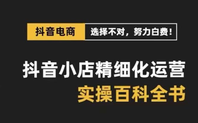 【抖音小店运营攻略】精选高利润产品，解决电商运营难题，保姆级实战讲解（28节课）  第1张